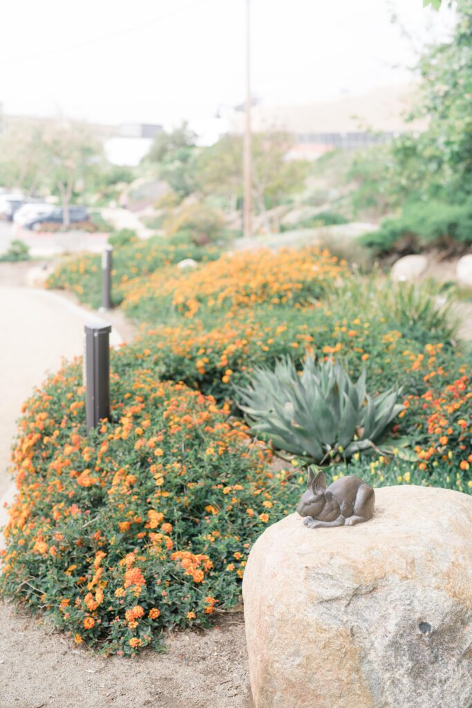 Civita Park bunny statue in the garden