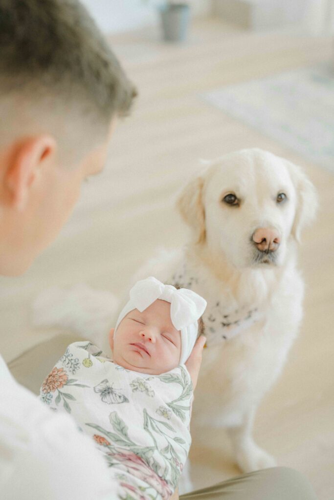 in home newborn lifestyle photoshoot with cute dog in san diego