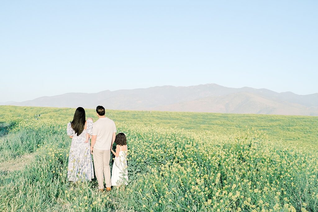 Family Portraits in a Mustard Field Chula Vista San Diego